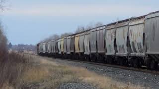 321 speeds past Scotts Hill road near Whitemouth November 3rd 2024 [upl. by Skolnik462]