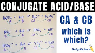 Conjugate Acids and Bases  How to identify them [upl. by Mikiso]