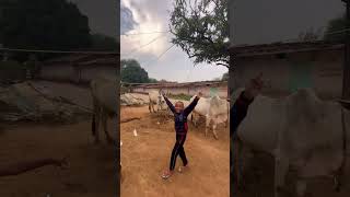 16100 NS power minivlog vlog ambikapur shortvideo funny [upl. by Lesiram531]