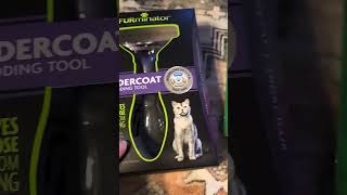 The Furminator Deshedding Fur Tool in Action Furminator cat catgrooming tabbycat [upl. by Dusza]