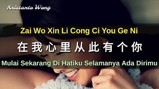 Zai Wo Xin Li Cong Ci You Ge Ni 在我心里从此有个你  Zhang Wei Jia 张玮伽 [upl. by Burhans]