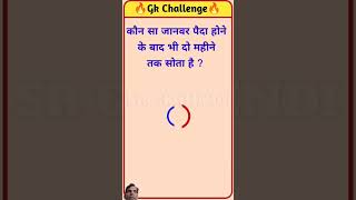 Kaon sa janwar paida hone ke bad bhi 2 mahine tak sota hai  gk question  gkinhindi gkrkstudy [upl. by Safier]