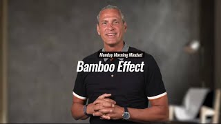 Bamboo Effect [upl. by Tan312]