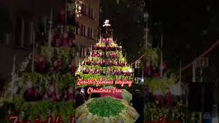 christmas switzerland zurich festive carol weihnachtsmusik shorts viralvideo trending fun [upl. by Chasse662]