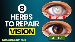 8 Herbs to Protect Eyes and Repair Vision [upl. by Lecia]