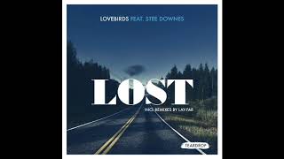 Lovebirds ft Stee Downes  Lost [upl. by Reisinger]