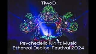 TiwaD  Set Ethereal Decibel Festival 2024 [upl. by Eidac]