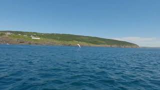 Ochre Pit Cove Whale Watching [upl. by Absalom]