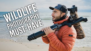 Gimbal Heads A Wildlife Photography MUSTHAVE And How to Use It [upl. by Ille]