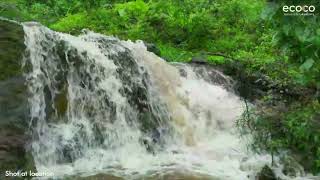 Private Waterfalls  The Lake Retreat  Nandivali  Ecoco Managed Farmplots [upl. by Breh811]