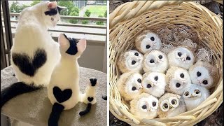 Cute Baby Animals Videos Compilation  Funny and Cute Moment of the Animals 31  Cutest Animals [upl. by Suoiluj]