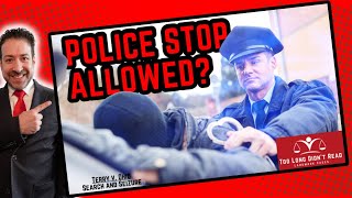 Constitutionality of Police Stops and Searches Terry v Ohio [upl. by Ednil206]