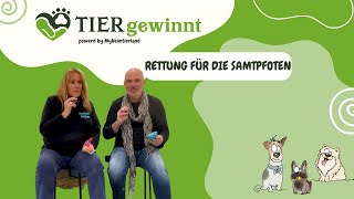 Folge 73  Rettung für die Samtpfoten [upl. by Ynafetse]