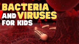 Bacteria and Viruses for Kids  Learn about these two kinds of microorganisms [upl. by Rusert]