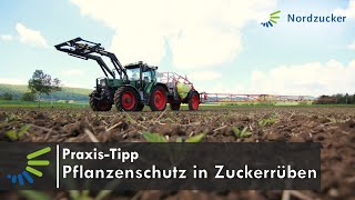 Pflanzenschutz in Zuckerrüben Unkraut und Ungrasbekämpfung [upl. by Medovich]