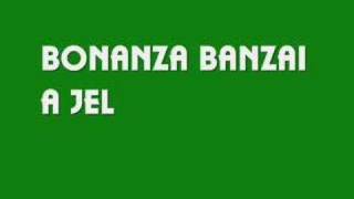 Bonanza BanzaiA jel [upl. by Leamhsi]