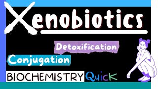 Xenobiotics  Metabolism of Xenobiotics  Detoxification  Conjugation  Biochemistry MBBS 1st yr [upl. by Adekahs966]