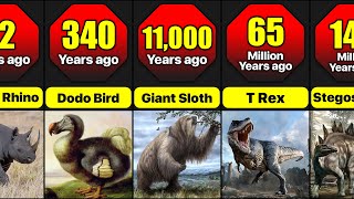 When Did Different Animals Gone Extinct  Time Periods Of Extinction Of Different Extinct Animals [upl. by Wiskind]