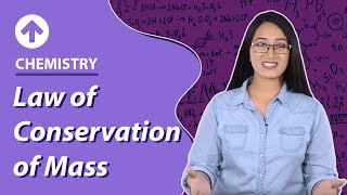 Law of Conservation of Mass  Atoms and molecules  Chemistry  Class 10 [upl. by Sualkin]