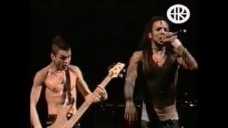 Hed PE  Swan Dive LiveHolland 2001 [upl. by Virendra]