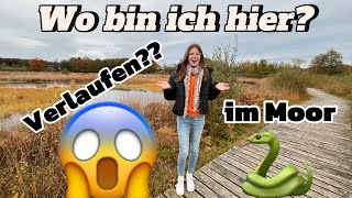 ICH VERLAUFE mich im MOOR 😨🐸🐍 [upl. by Anhej811]