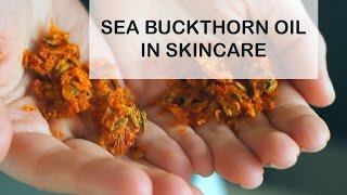 Sea Buckthorn Oil Benefits for Skin  Sea Buckthorn Oil in Skincare [upl. by Cazzie]