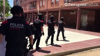 Mossos DEsquadra Edit  The Fear [upl. by Rowney]