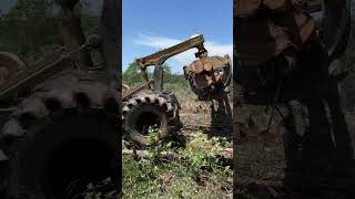 Tigercat 630E skidder working on shovel roads 🤙🏼 cuttingedgelogging skidder kellyvideos notmymon [upl. by Bertero576]