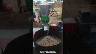 Efficient Wood Pellet Machine in Action  HighQuality Biomass Pellet Production！ [upl. by Nosyrb]