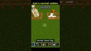 Worden 💀 treanding viralshorts minecraft sturgle subscribe hardwork [upl. by Auston798]