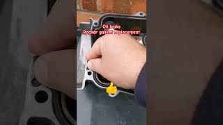 Rocker gasket replacement shorts youtube video foryou [upl. by Nojid]