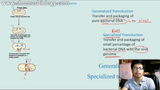 Generalized transduction vs Specialized Transduction [upl. by Ellainad96]