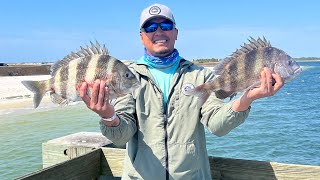 COLD FRONT Hit and The SHEEPSHEAD Were Chewing Like Never Before Fort Pickens FL [upl. by Eerak]