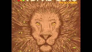 Radikal Guru  The Rootstepa Full Album [upl. by Festus]