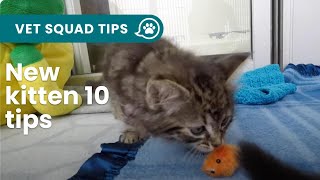 New kitten 10 things you NEED to know  PET CIRCLE [upl. by Gus]