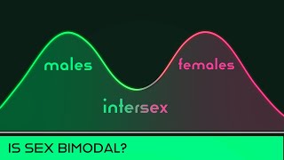 Is Sex Bimodal [upl. by Enilkcaj55]