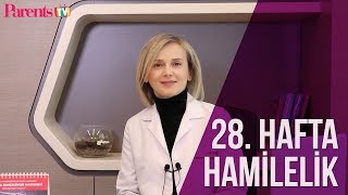 Parents TV  28 Hafta Hamilelik [upl. by Winnah]