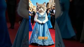 The Purrrfect Catwalk 😻 youtube youtubeshorts shorts trending [upl. by Fronniah57]