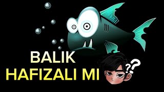 BALIKLARIN HAFIZASI ANLATILDIĞI KADAR KÖTÜ MÜ 🤔 [upl. by Farlie338]