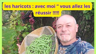 Les haricots verts  ON SE DIT TOUT ET COMMENT SEMER [upl. by Hannavas]