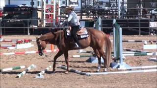 Hot Diggity Joe Green Trail at the 2011 Arizona Sun Circuit Point Earner [upl. by Jeunesse]