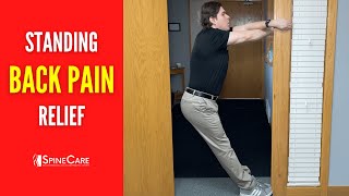 Best Standing Lower Back Pain Relief Exercises [upl. by Hahsi]