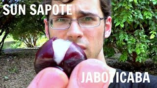 Jaboticaba amp Sun Sapote Review  Weird Fruit Explorer Ep 63 [upl. by Hguh]