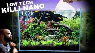 Nano Tank Tutorial LOW TECH Killifish Aquascape [upl. by Chapland]