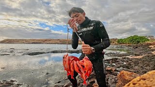 Hawaiian Solo Spearfishing 4 Menpachi  A Murky Omilua [upl. by Modie981]