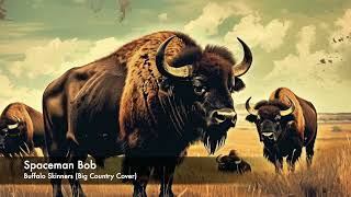 Buffalo Skinners Spaceman Bob Big Country Cover [upl. by Kelwin]