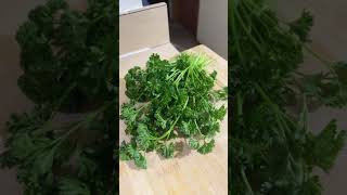 Health Benefits of Parsley  green leaves  home remedies shorts [upl. by Kokaras233]