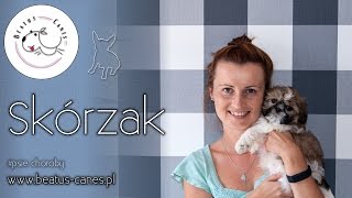 Skórzak [upl. by Pierpont]