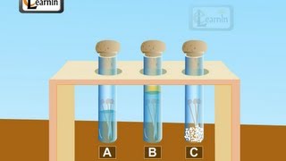 Corrosion and rust Science [upl. by Lehacim]