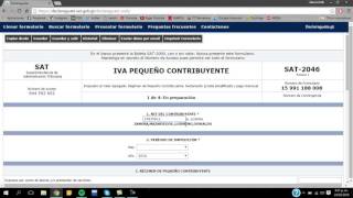 ¿Cómo llenar el formulario de pequeño contribuyente [upl. by Ised592]